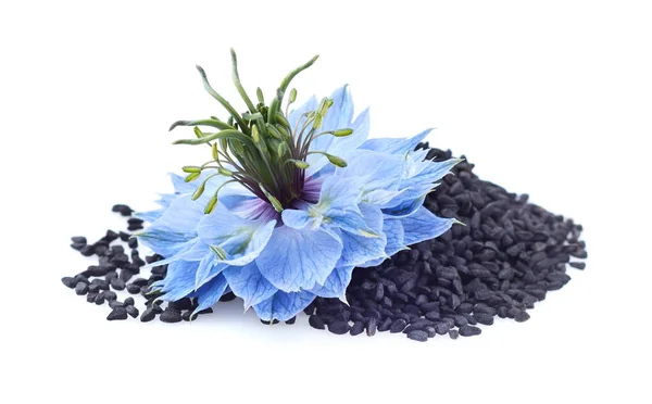 Beyaz Zemin Üzerinde Nigella Sativa Çiçeği Olan Siyah Kimyon Tohumları — Stok fotoğraf