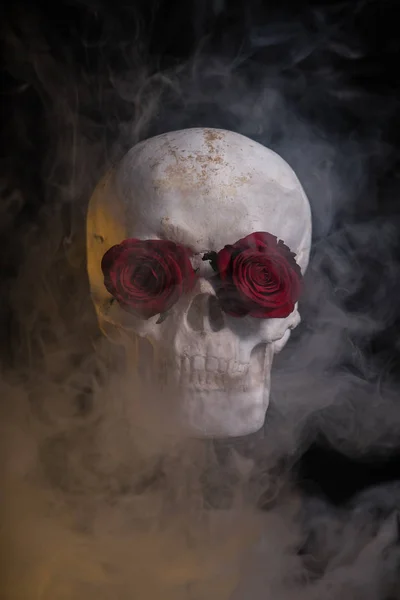 Calavera humana con rosas rojas — Foto de Stock