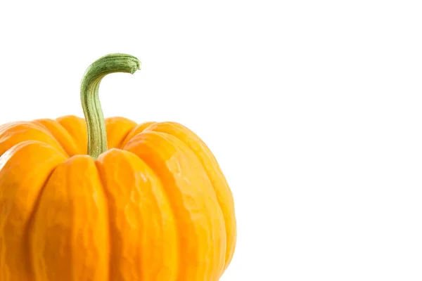 Pequeña calabaza naranja decorativa —  Fotos de Stock