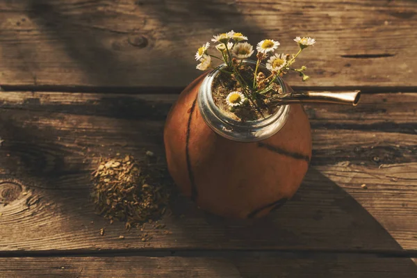 Argentinean yerba mate drink — Stock Photo, Image