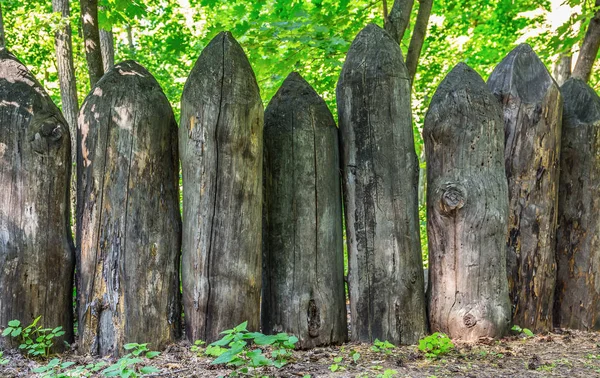 Old fence of sharpened logs