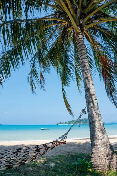 Hammock in shade of palm trees on tropical beach