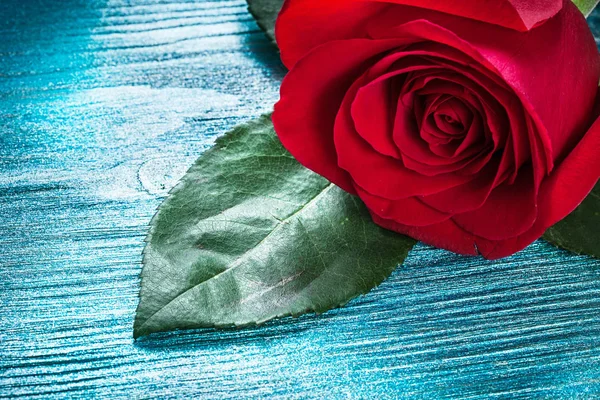 Erweiterte rote Rose mit grünen Blättern auf Holzbrettern — Stockfoto