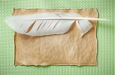 Vintage kağıt quill yeşil yüzey yatay görünümünde