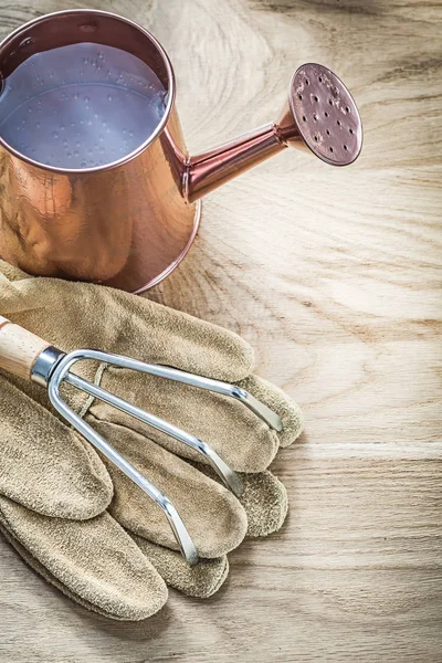 Conjunto de rega vintage pode rake de metal luvas de jardinagem no woode — Fotografia de Stock