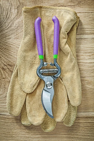 Leather protective gloves pruning shears on wooden board gardeni — Stock Photo, Image