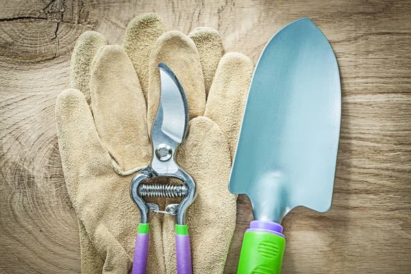 Pair of working gloves secateurs hand spade on wooden board agri — Stock Photo, Image
