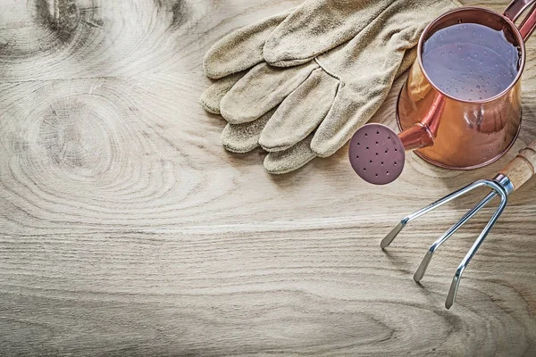 Vintage-Gießkanne Harke Gartenhandschuhe auf Holzbrett agric — Stockfoto