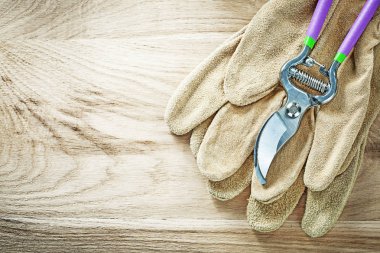 Secateurs ahşap tahta Bahçe concep üzerinde deri Emanet eldiven