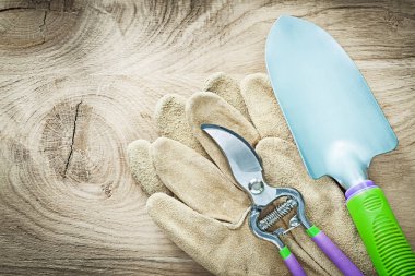 Ahşap tahta agricult üzerinde çalışma eldiven secateurs çift kürek