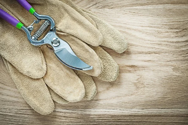 Leather protective gloves garden pruner on wooden board gardenin — Stock Photo, Image