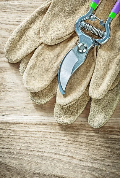 Leather safety gloves garden pruner on wooden board gardening co — Stock Photo, Image