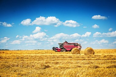 combine harvester working on field of wheat clipart