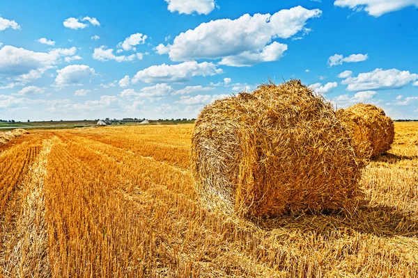 Balle di paglia depositate dopo la raccolta — Foto Stock