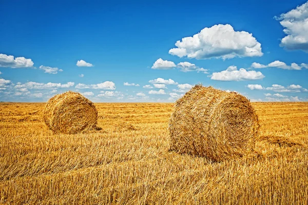 Twee balen tarwe stro op geoogste veld — Stockfoto