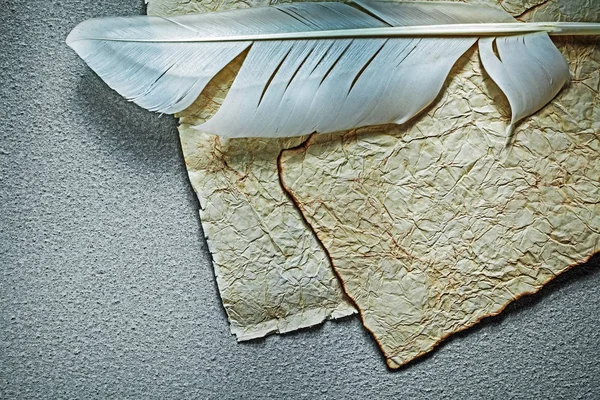 Παλιάς χρονολογίας τσαλακωμένο χαρτί φύλλο λοφίο σε γκρίζο φόντο — Φωτογραφία Αρχείου
