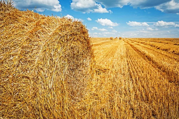 Vista attraverso la balla di paglia sul campo raccolto — Foto Stock