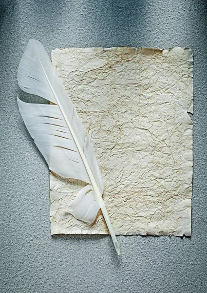 Pluma de hoja de papel arrugada antigua sobre superficie gris — Foto de Stock