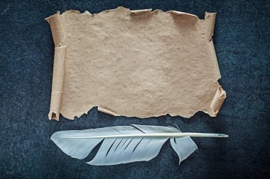 Vintage kağıt tüy siyah arka plan üzerine