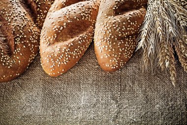 Huysuz ekmeği çavdar kulaklara kendir arka plan