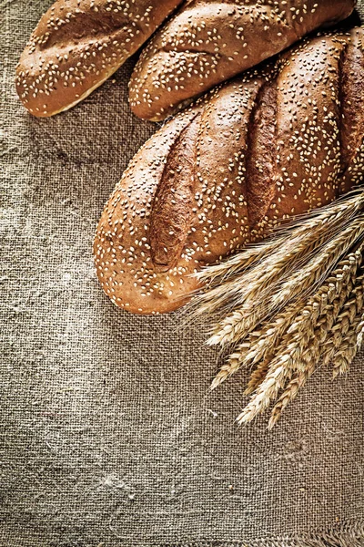 Huysuz ekmeği buğday kulaklara kendir arka plan