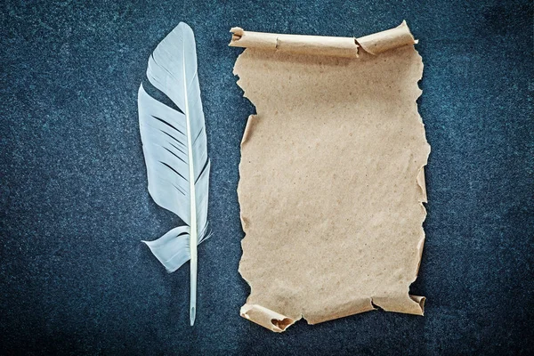 Medieval paper sheet feather on black background — Stock Photo, Image