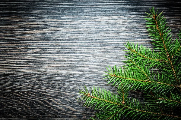 暗い木板にモミの木の枝 — ストック写真