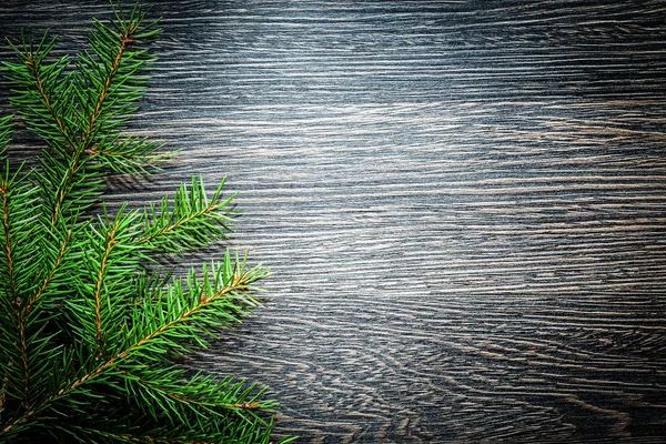 Rama de árbol perenne en tablero de madera oscura — Foto de Stock