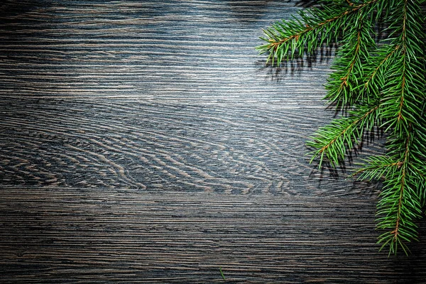 Fir tree branch on wooden board — Stock Photo, Image