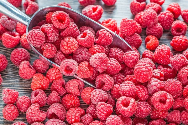 Ripe raspberry scoop healthy food concept — Stock Photo, Image