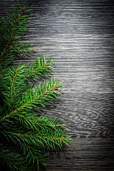 木の板に常緑の木の枝 — ストック写真