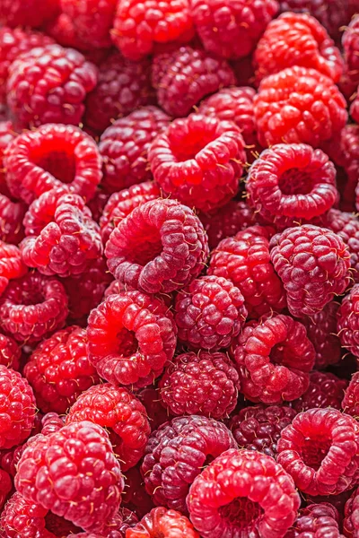 Merah matang raspberry konsep makanan sehat — Stok Foto