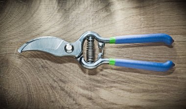 Ahşap tahta üzerinde keskin secateurs
