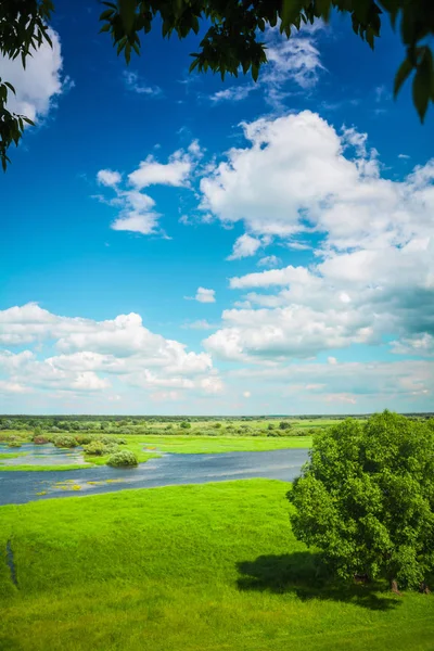 Vista sobre el campo de inundación en primavera — Foto de Stock