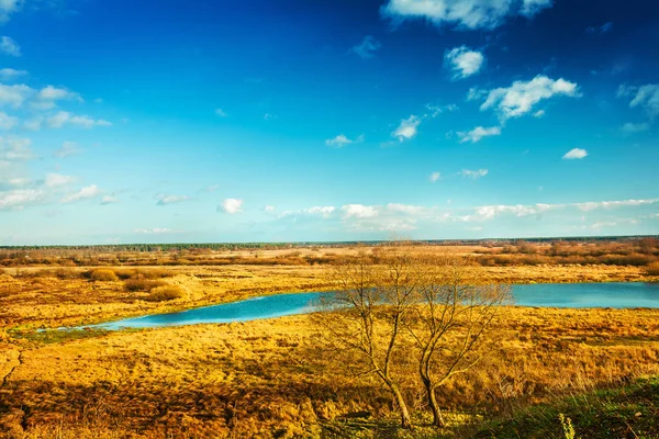 Вид на осінній луг — стокове фото