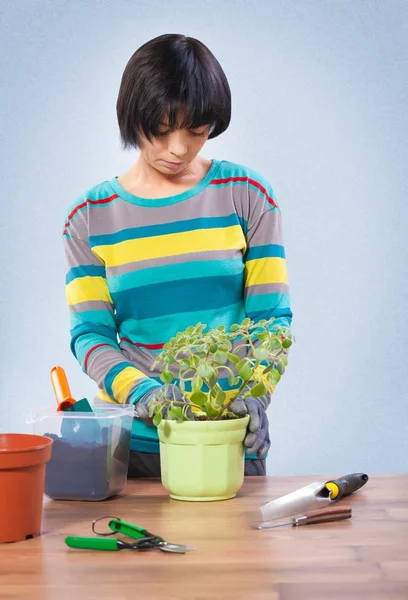 Asiatico femmina lavoro con casa flover — Foto Stock