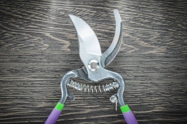 Ahşap tahta üzerinde Bahçe budama makası