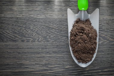 Paslanmaz el kürek toprak ahşap tahta üzerinde