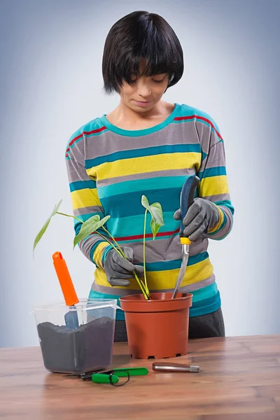 Asijské žena repoting flover zblízka — Stock fotografie