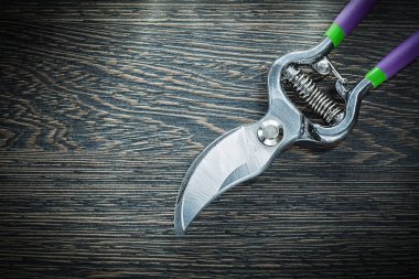 Ahşap tahta üzerinde keskin Bahçe budayıcı