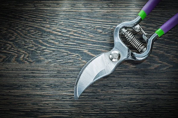 Sharp garden pruner on wooden board — Stock Photo, Image