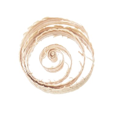 Beyaz izole kıvrılmış talaşı