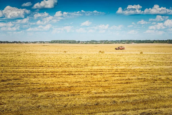 Solitude combine harvester on wheat field at beautiful suuny day — Stock Photo, Image