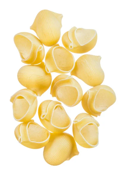 Tas de coquilles de pâtes courtes isolées sur blanc — Photo