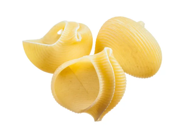 Цільнозернові сирі макаронні мушлі ізольовані на білому — стокове фото