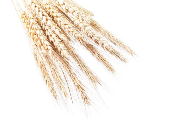 Пшеница и ржаные уши изолированы на белом горизонтальном изображении — стоковое фото