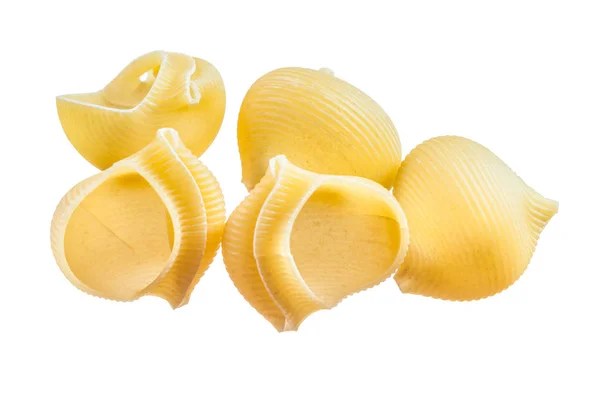 Conchas de pasta integral aisladas en blanco — Foto de Stock