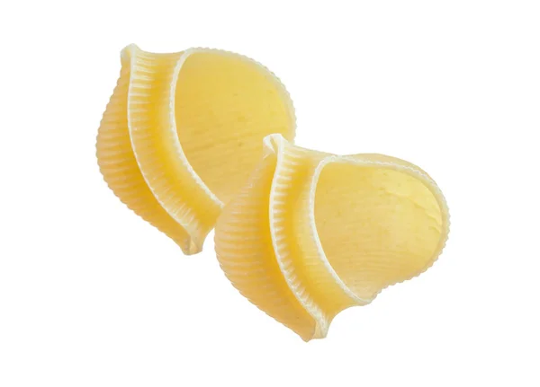 Raaka pasta kuoret eristetty valkoinen — kuvapankkivalokuva
