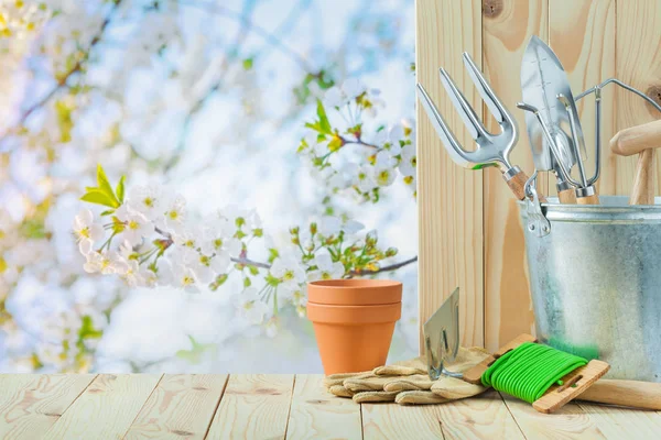 Tuingereedschap in emmer en op houten tafel — Stockfoto