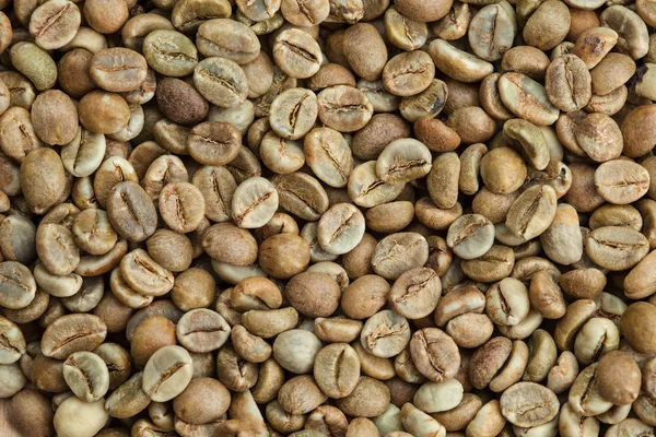 Ziarna zielonej kawy jako tło — Zdjęcie stockowe